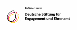 DSEE_Logo