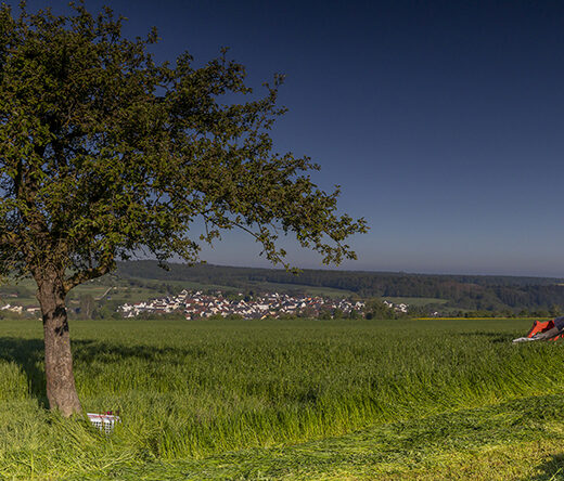 Wildbruecke-Fotoreportage-Rehkitzrettung-08 Quelle: Wildbrücke / www.wildbruecke.de